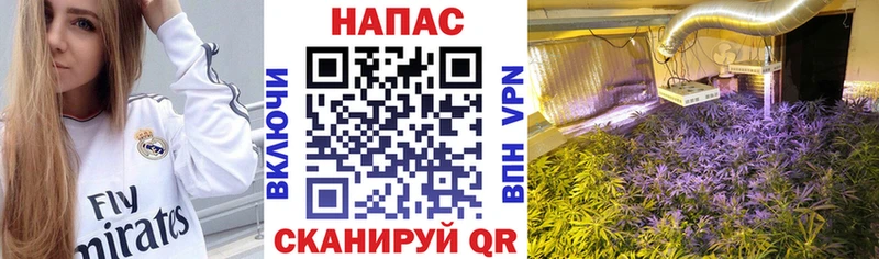 Где купить Арамиль ГАШИШ  A PVP  НБОМе  МЕТАДОН  Марихуана  Меф мяу мяу  Cocaine 